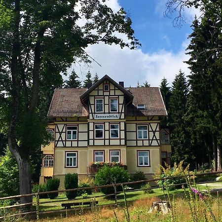 Haus Sonnenblick Daire Benneckenstein Dış mekan fotoğraf
