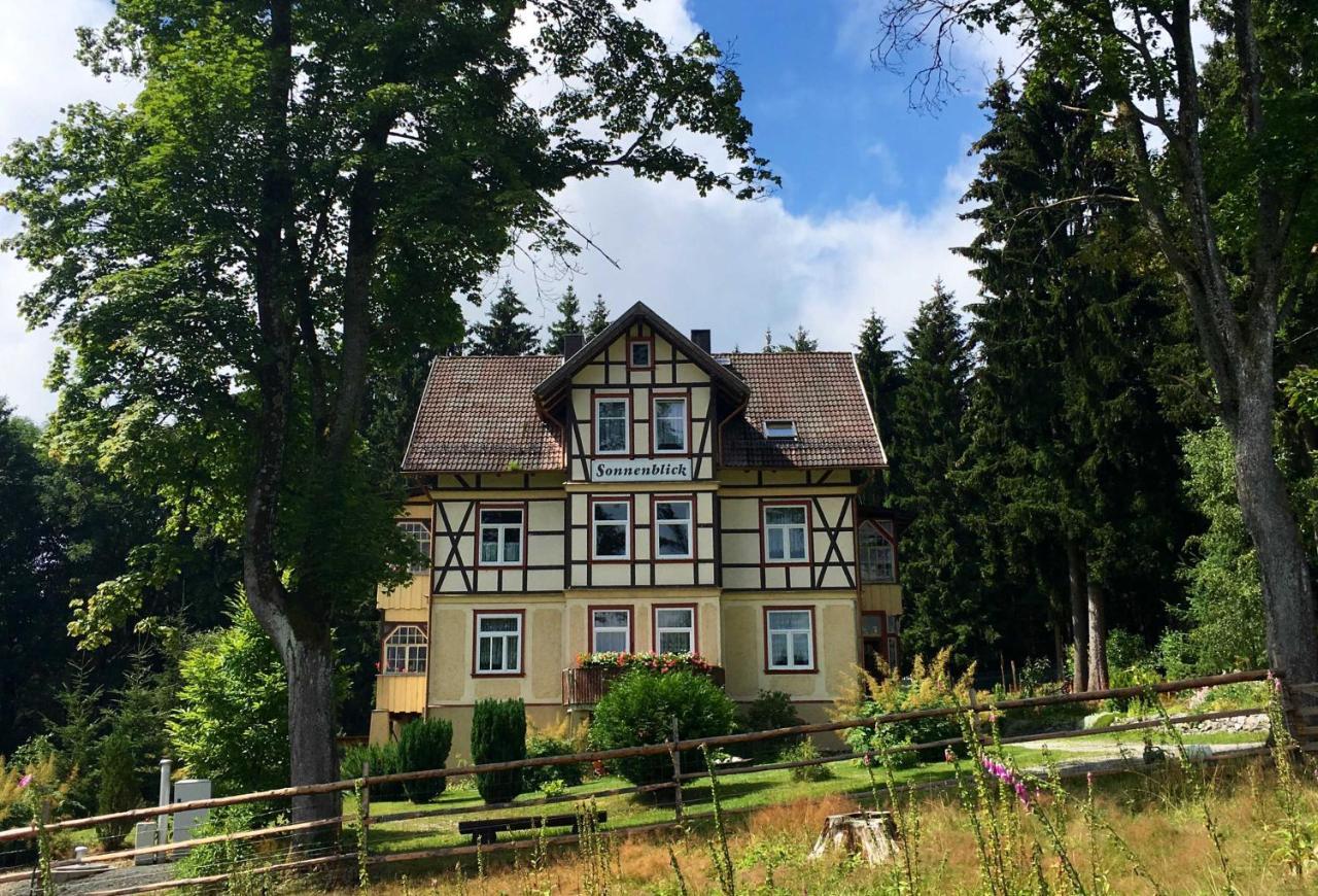 Haus Sonnenblick Daire Benneckenstein Dış mekan fotoğraf