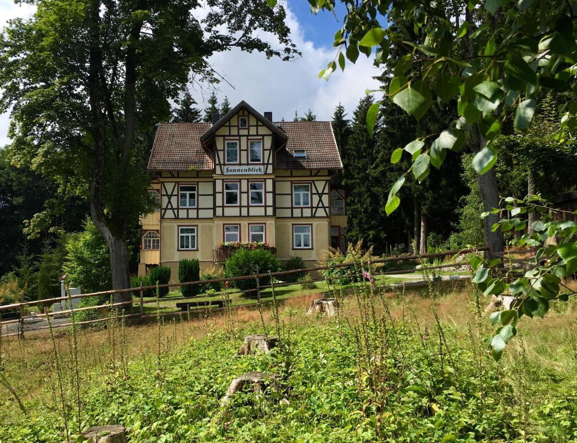 Haus Sonnenblick Daire Benneckenstein Dış mekan fotoğraf