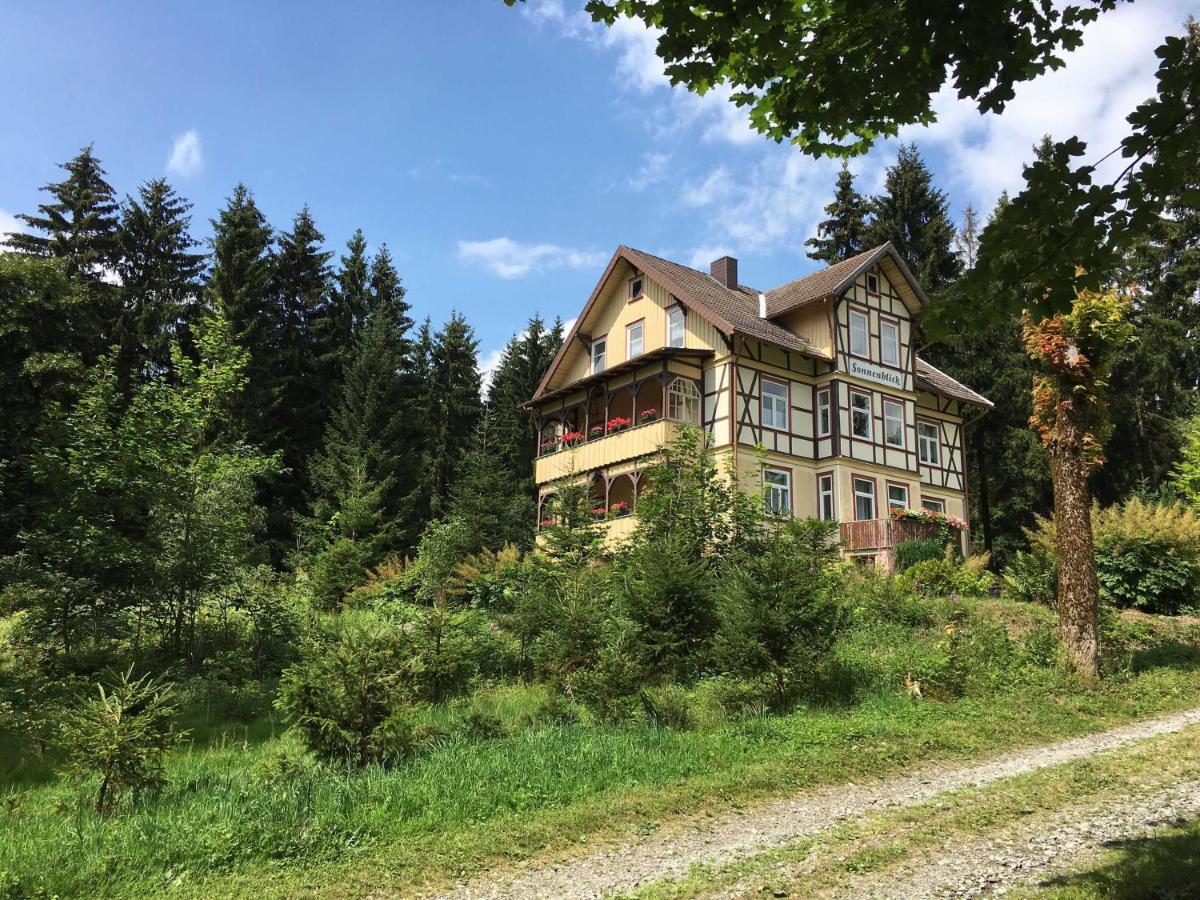 Haus Sonnenblick Daire Benneckenstein Dış mekan fotoğraf