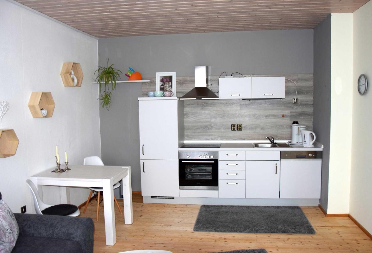 Haus Sonnenblick Daire Benneckenstein Dış mekan fotoğraf