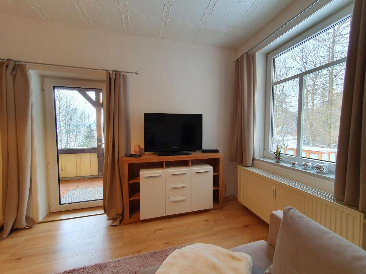 Haus Sonnenblick Daire Benneckenstein Dış mekan fotoğraf
