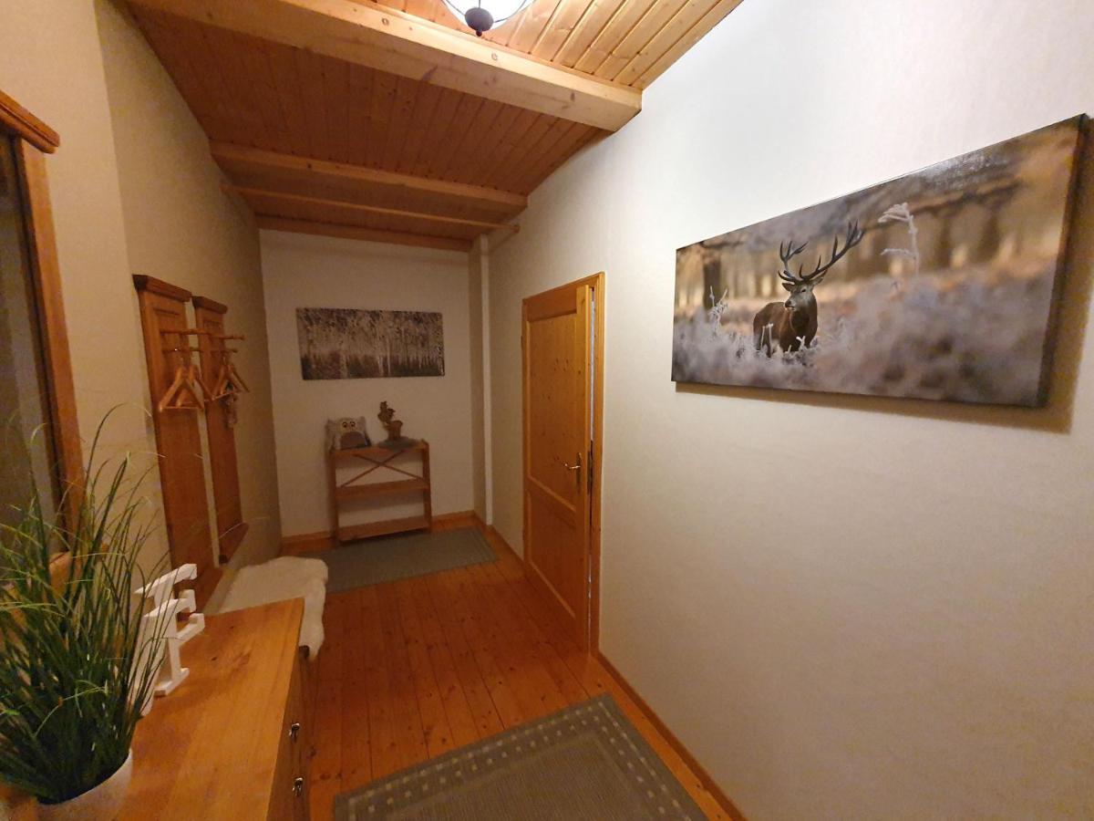 Haus Sonnenblick Daire Benneckenstein Dış mekan fotoğraf
