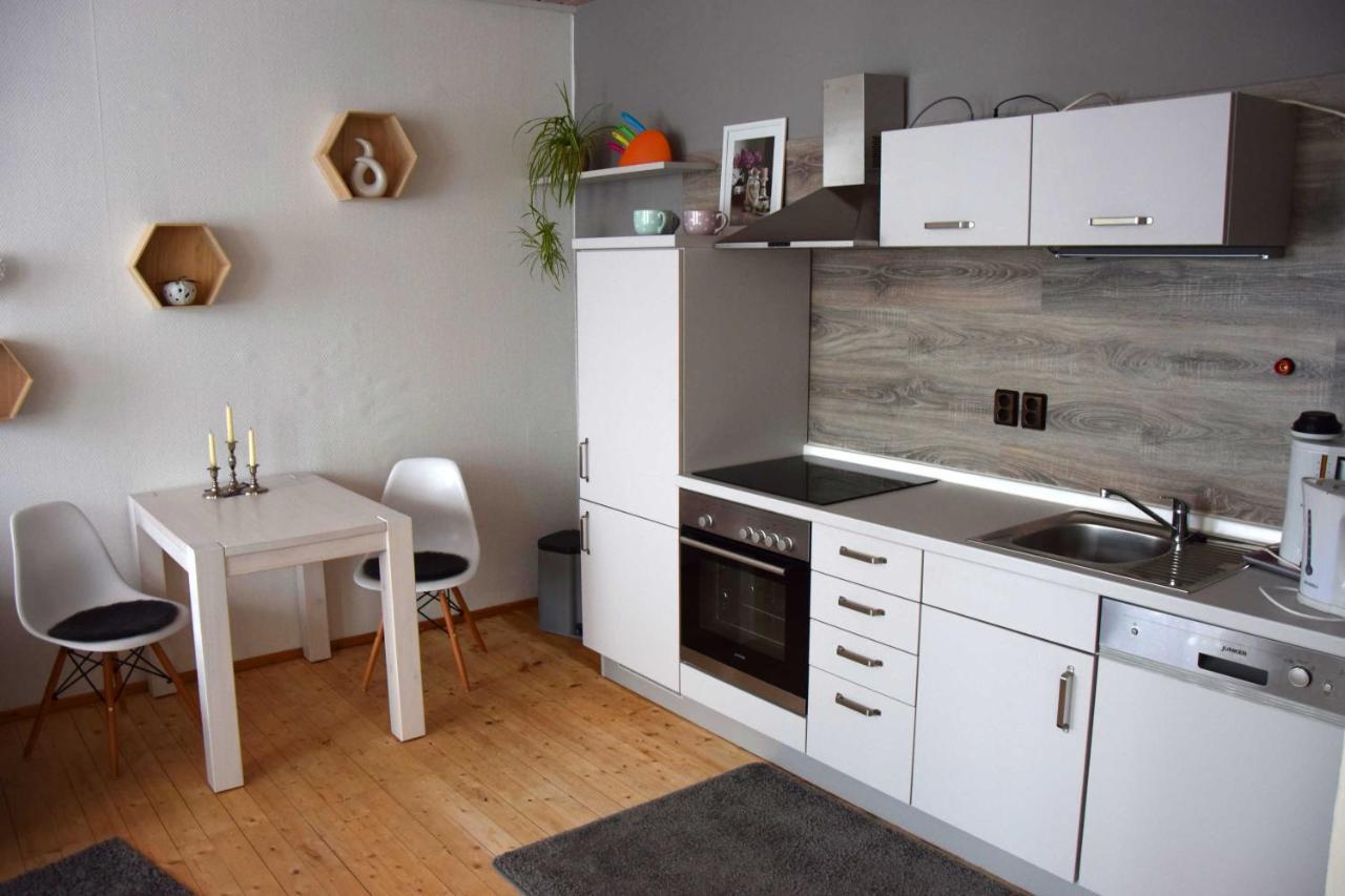 Haus Sonnenblick Daire Benneckenstein Dış mekan fotoğraf