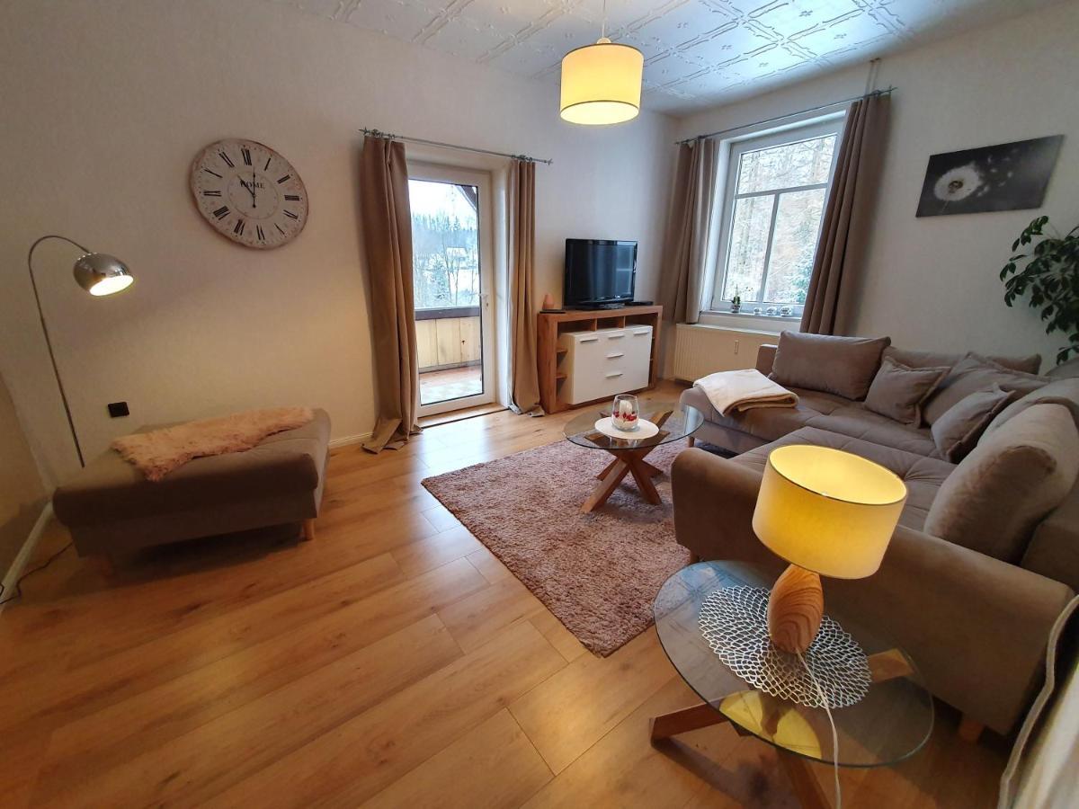 Haus Sonnenblick Daire Benneckenstein Dış mekan fotoğraf