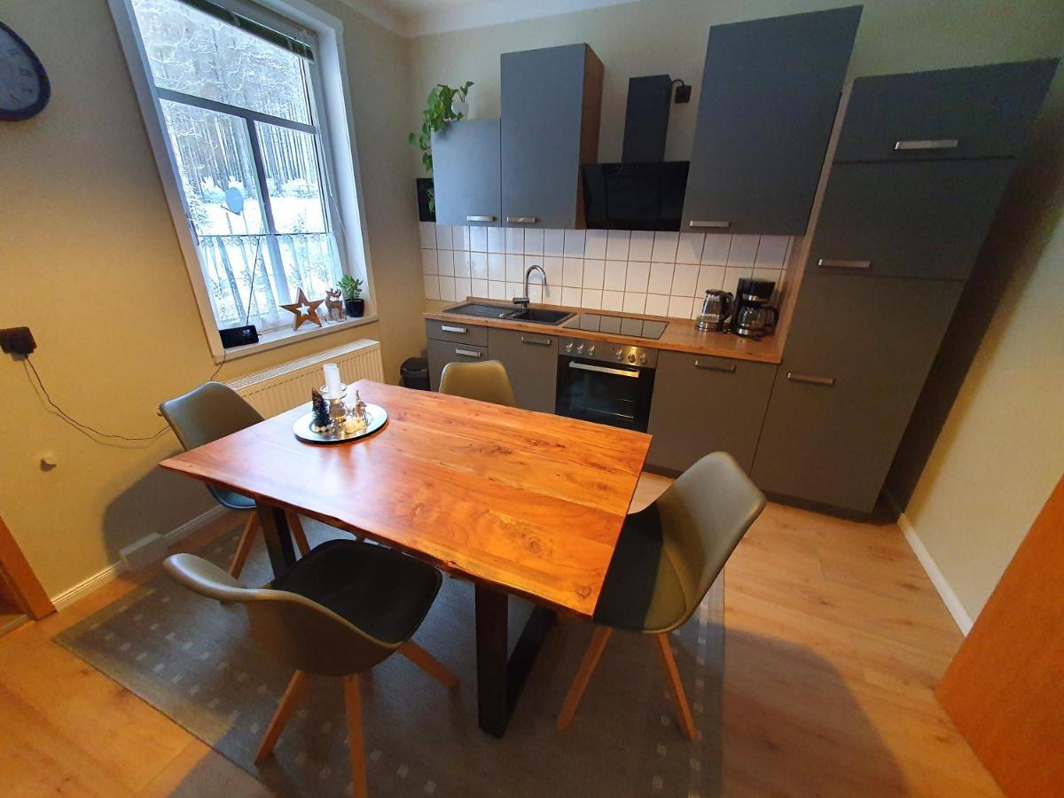 Haus Sonnenblick Daire Benneckenstein Dış mekan fotoğraf